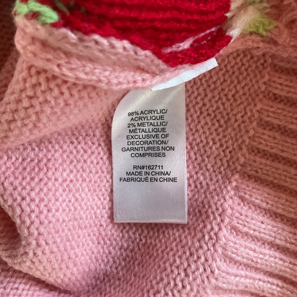 Women'sStrawberry Shortcake Hearts Embroidery Berry Knit Sweater M NWT - Picture 7 of 8
